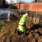 bulb planting in the frost at goldthorpe embankment