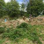 clearing the banking at goldthorpe embankment