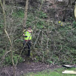 cutting back for planting at goldthorpe embankment