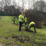 december 2018 orchard planting at goldthorpe embankment