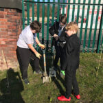 february 2019 schoolchildren hedge planting at goldthorpe embankment