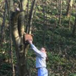 fixing bird boxes at goldthorpe embankment