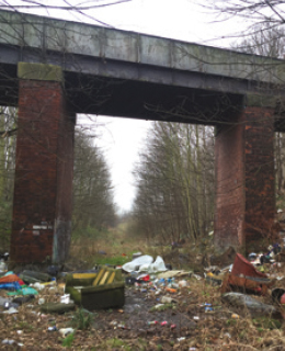 The fly-tipping rubbish beneath the Goldthorpe Embankment bridge