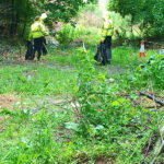 goldthorpe basin clean up at goldthorpe embankment