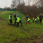 Goldthorpe Primary planting at Goldthorpe Embankment