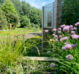 Flowers and interpretation boards at Goldthorpe Embankment