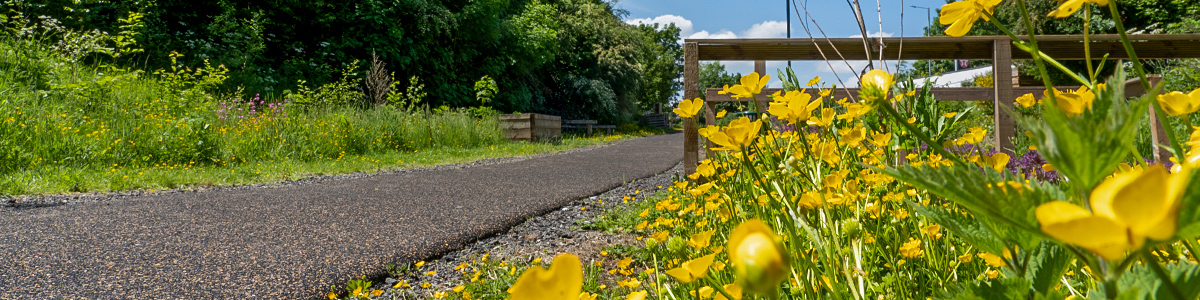 goldthorpe railway embankment in springtime