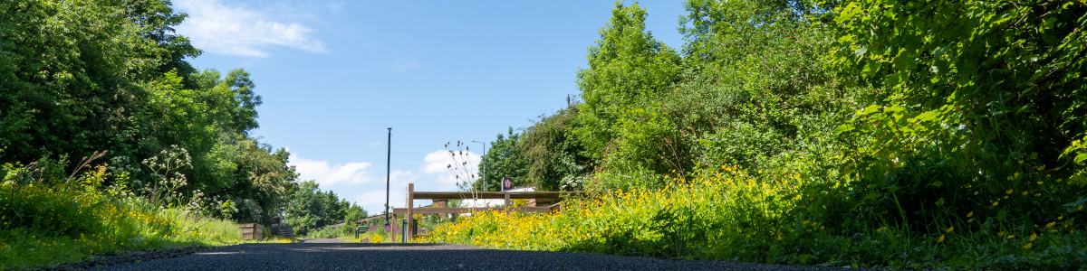 goldthorpe railway embankment in springtime