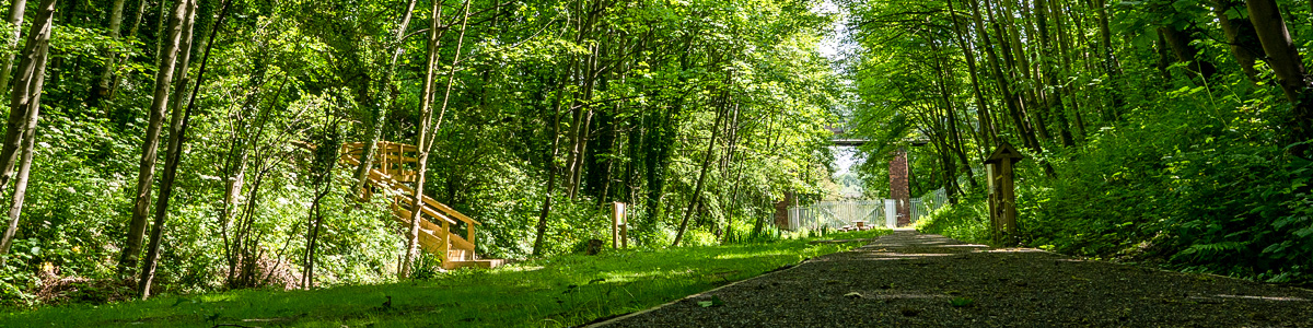 goldthorpe railway embankment in springtime