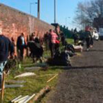 hedge planting at Goldthorpe Embankment