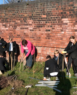 hedge planting by local schools at goldthorpe embankment