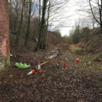 litter picking at goldthorpe embankment