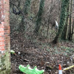 litter picking at goldthorpe embankment