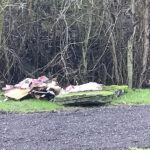 litter picking at goldthorpe embankment