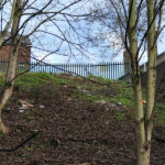 litter picking at goldthorpe embankment