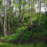 litter picking in the trees after tidying at goldthorpe embankment