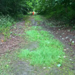 further long view after goldthorpe basin clean up at goldthorpe embankment