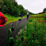 recovery steps at goldthorpe embankment