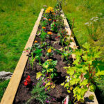 recovery steps raised wooden planter at goldthorpe embankment