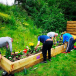 recovery steps raised wooden planter at goldthorpe embankment