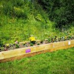 recovery steps raised wooden planter at goldthorpe embankment