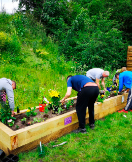 the recovery steps group planting a raised bed at goldthorpe embankment