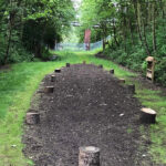 view down the site after tidying at goldthorpe embankment