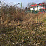 view from the top before work started at goldthorpe embankment