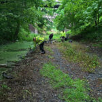 view to far end during clean up at goldthorpe embankment