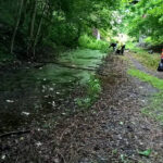 volunteers cleaning pond at goldthorpe embankment