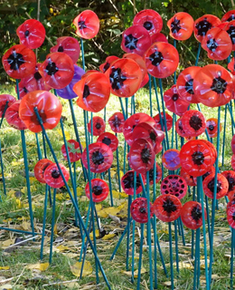 close up picture of remembrance poppies made from plastic bottles in 2021